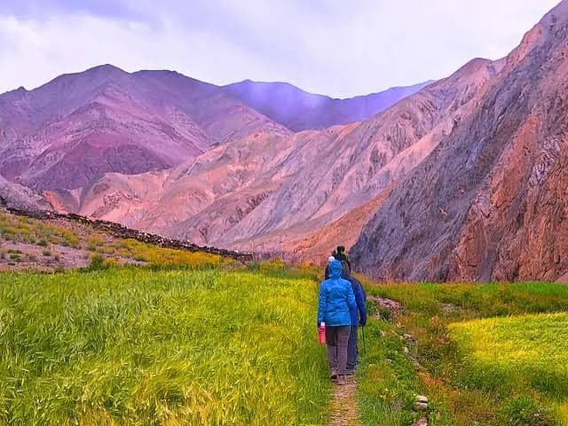 Markha Valley Trek